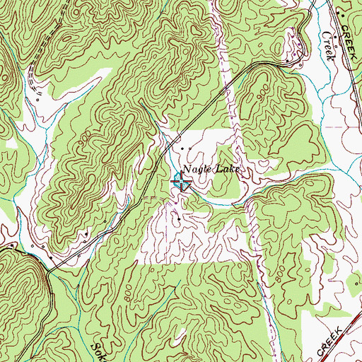 Topographic Map of Nagle Lake, TN
