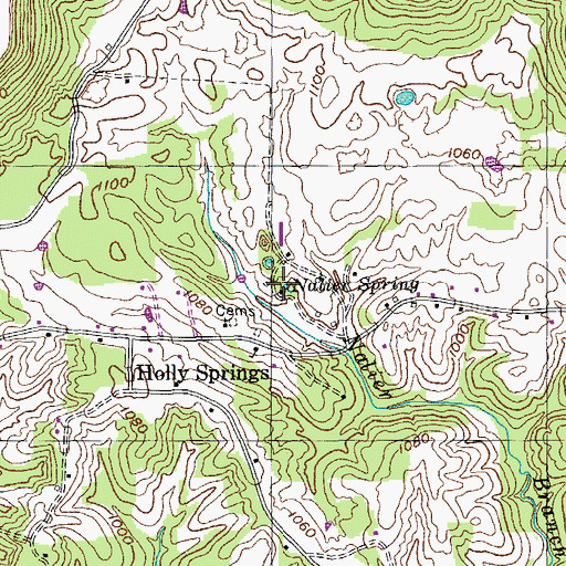 Topographic Map of Nalier Spring, TN