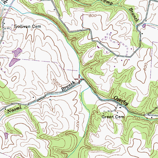 Topographic Map of Naomi Branch, TN