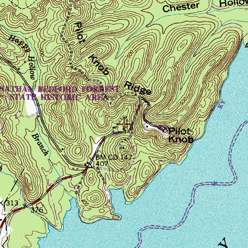 Topographic Map of Nathan Bedford Forrest State Park, TN