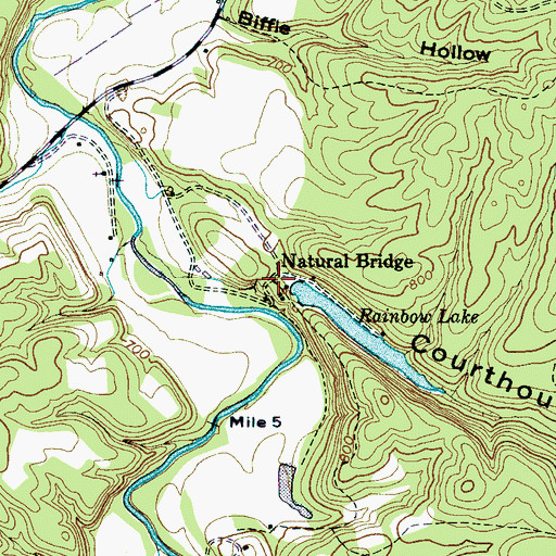 Topographic Map of Natural Bridge, TN