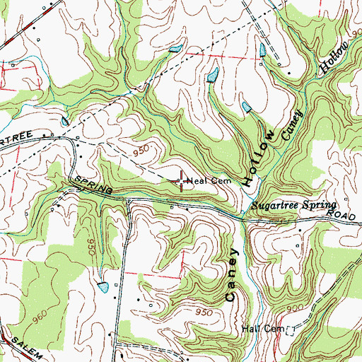 Topographic Map of Neal Cemetery, TN