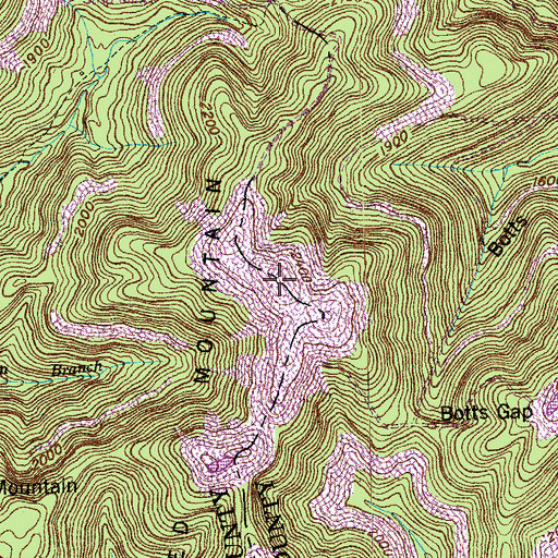 Topographic Map of Ned Mountain, TN