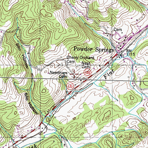 Topographic Map of Needham Cemetery, TN