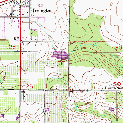Topographic Map of J E Robinson Dam, AL