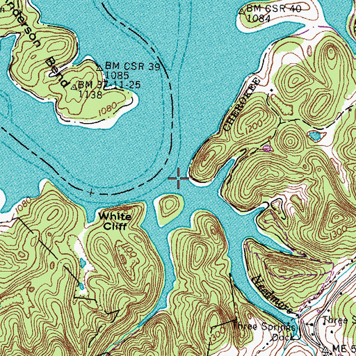 Topographic Map of Needmore Creek, TN
