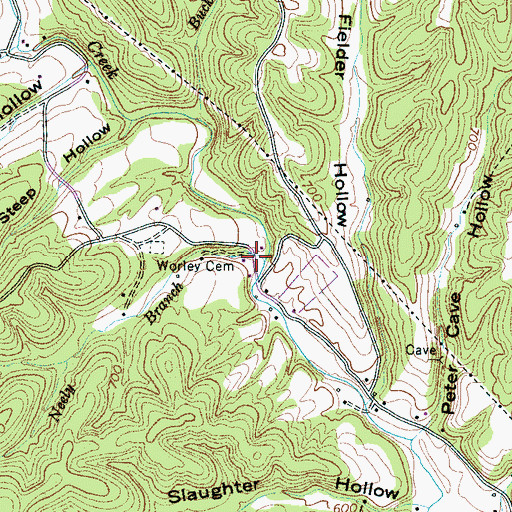Topographic Map of Neely Branch, TN