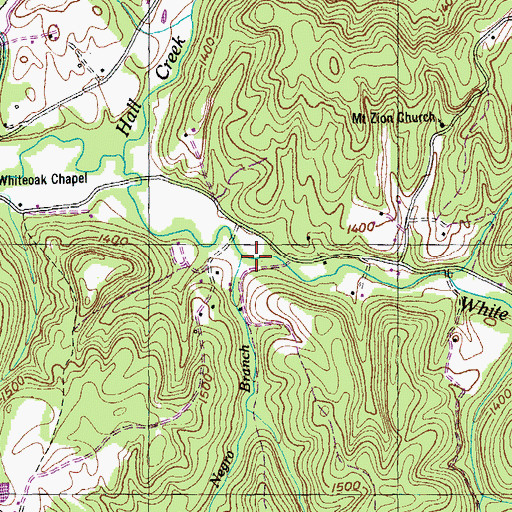 Topographic Map of Negro Branch, TN