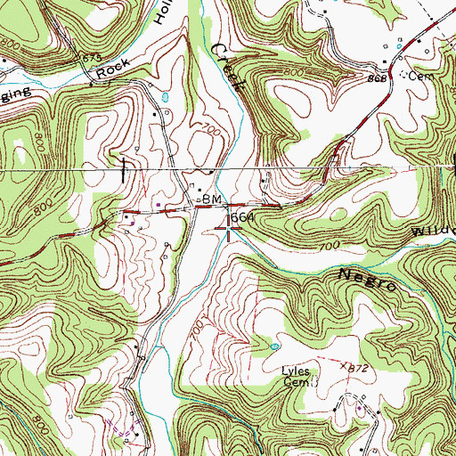 Topographic Map of Negro Hollow, TN