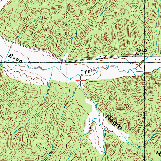 Topographic Map of Negro Hollow, TN