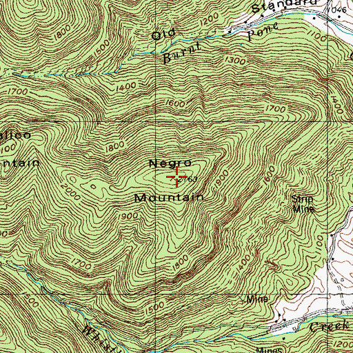 Topographic Map of Negro Mountain, TN