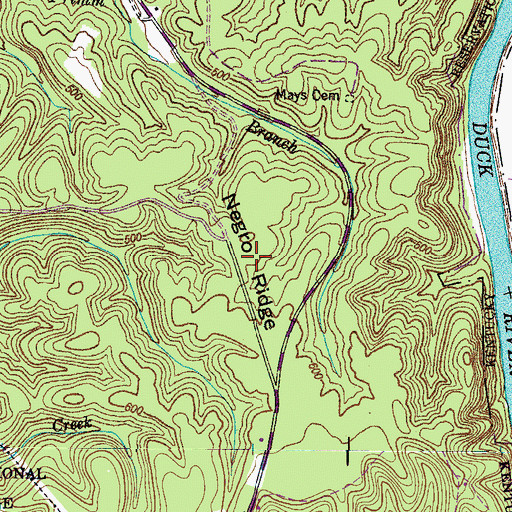 Topographic Map of Negro Ridge, TN