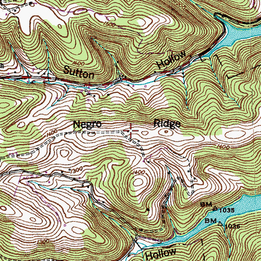Topographic Map of Negro Ridge, TN