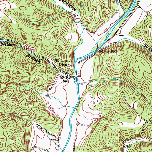 Topographic Map of Nelson Branch, TN