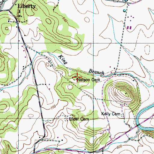Topographic Map of Nelson Cemetery, TN