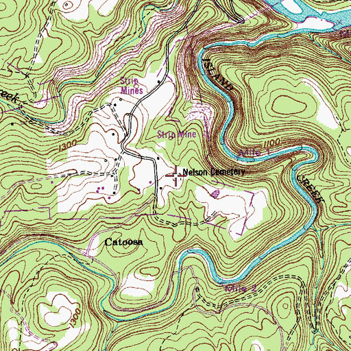 Topographic Map of Nelson Cemetery, TN