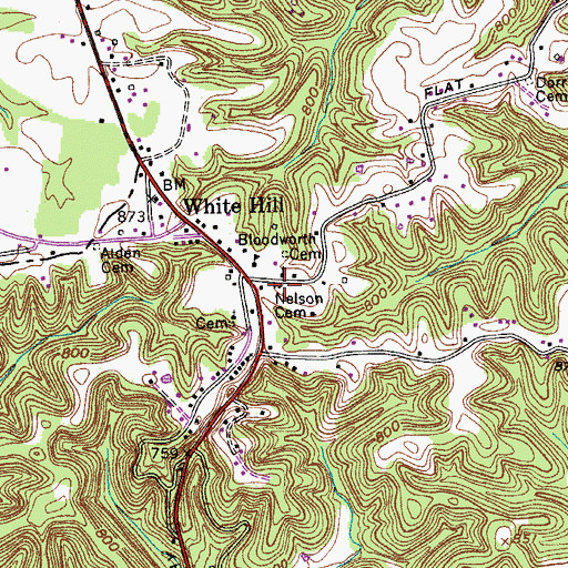 Topographic Map of Nelson Cemetery, TN