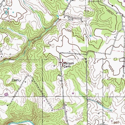 Topographic Map of Nelson Cemetery, TN