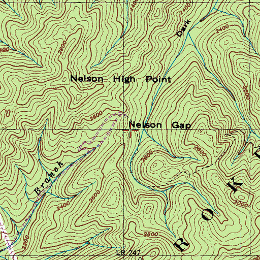 Topographic Map of Nelson Gap, TN