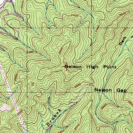 Topographic Map of Nelson High Point, TN