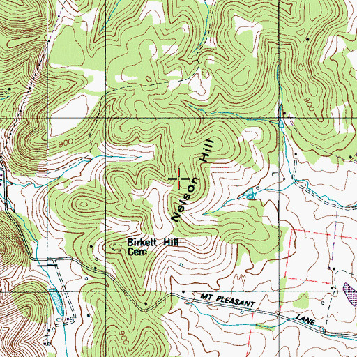 Topographic Map of Nelson Hill, TN