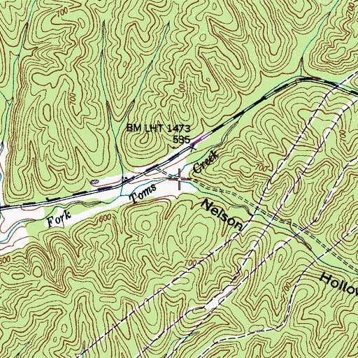 Topographic Map of Nelson Hollow, TN