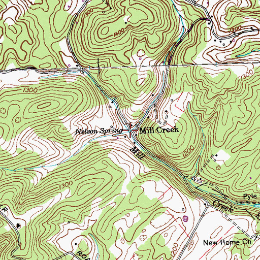 Topographic Map of Nelson Spring, TN