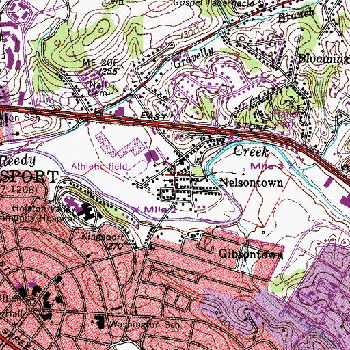 Topographic Map of Nelsontown, TN