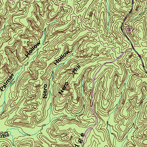 Topographic Map of Nero Hill, TN