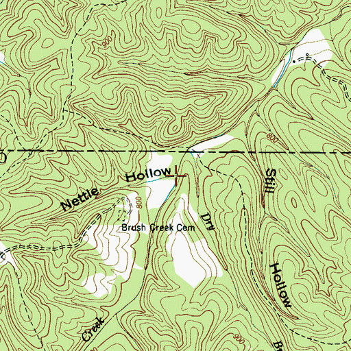 Topographic Map of Nettle Hollow, TN