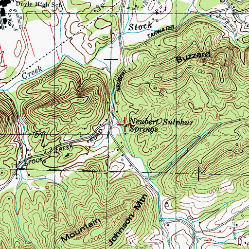 Topographic Map of Neubert Sulphur Springs, TN