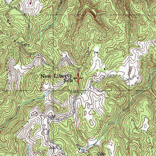 Topographic Map of New Liberty School, TN