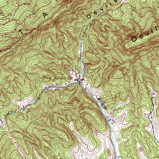 Topographic Map of New Salem Church, TN