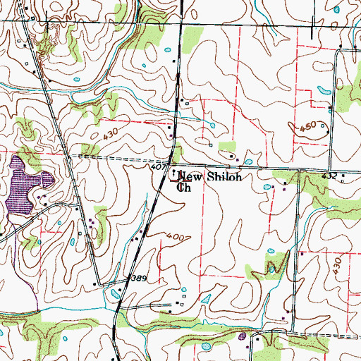 Topographic Map of New Shiloh Church, TN