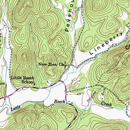 Topographic Map of New Zion Church, TN