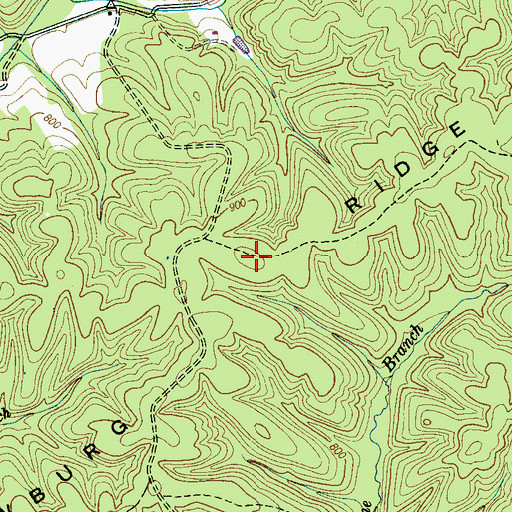 Topographic Map of Newburg Ridge, TN