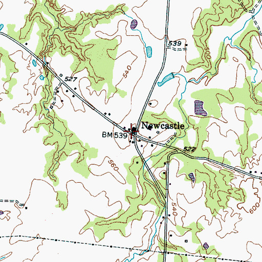 Topographic Map of Newcastle, TN