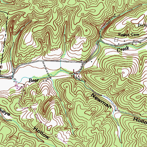 Topographic Map of Newman Hollow, TN