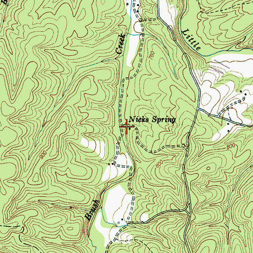 Topographic Map of Nicks Spring, TN