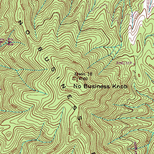 Topographic Map of No Business Knob, TN
