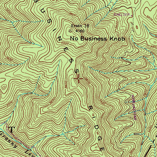 Topographic Map of No Business Ridge, TN