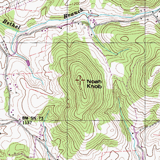 Topographic Map of Noah Knob, TN