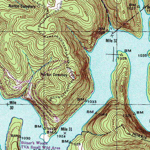 Topographic Map of Norton Cemetery, TN
