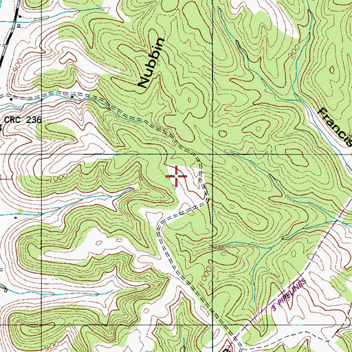 Topographic Map of Nubbin Ridge, TN