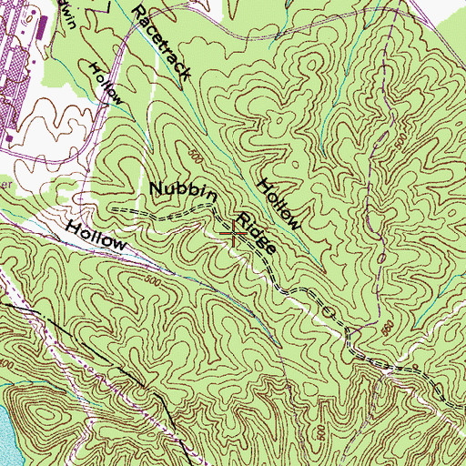 Topographic Map of Nubbin Ridge, TN