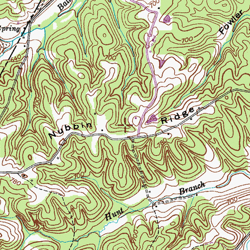 Topographic Map of Nubbin Ridge, TN
