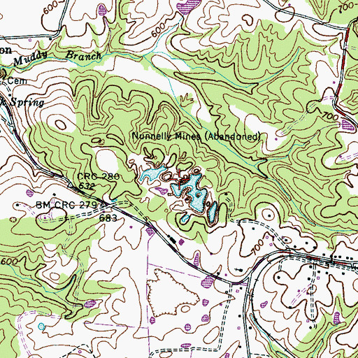 Topographic Map of Nunnelly Mines, TN