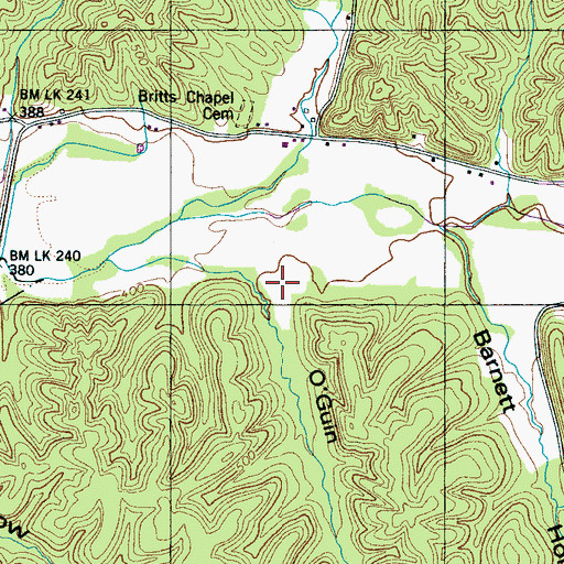 Topographic Map of O'Guin Hollow, TN