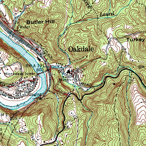 Topographic Map of Oakdale, TN