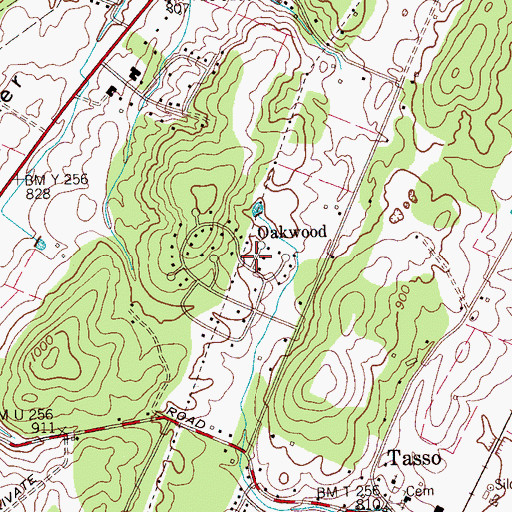 Topographic Map of Oakwood, TN